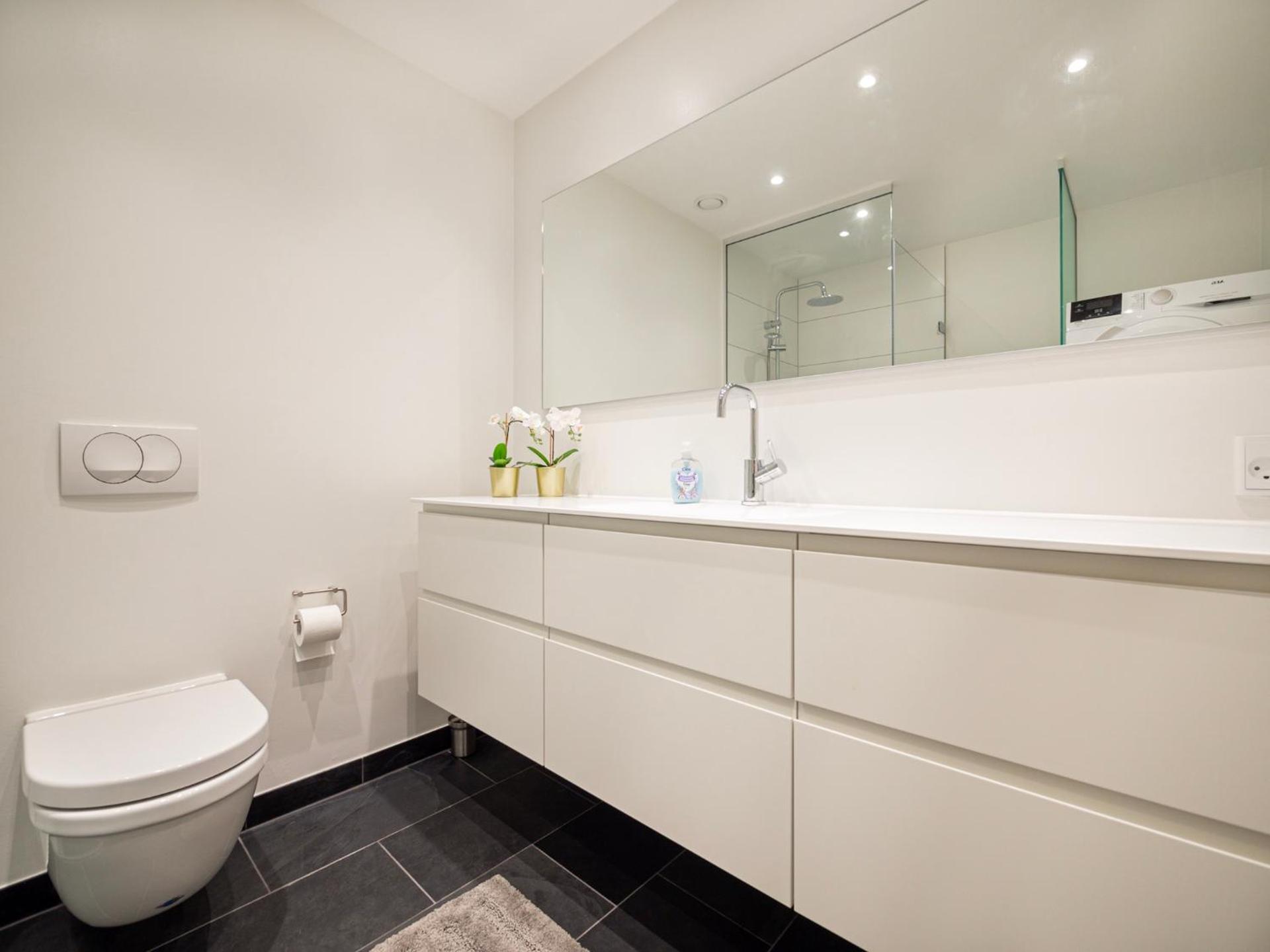 3 Bedroom Apartment on the new Nordhavn canals neighborhood