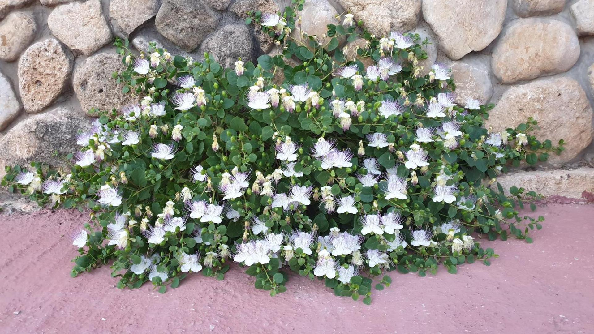 Agriturismo Duca di San Martino