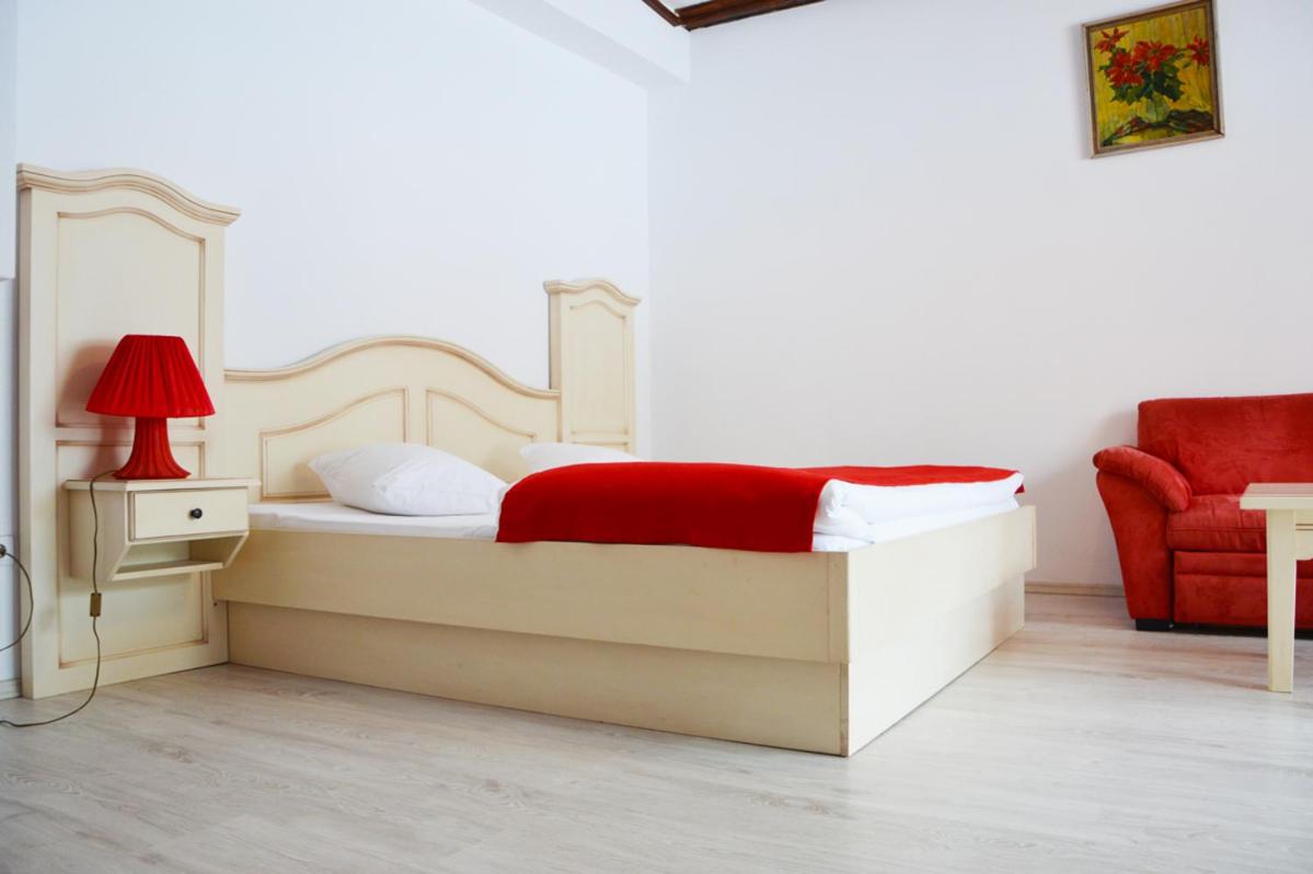 Pensiunea Romantic Belvedere Paltinis