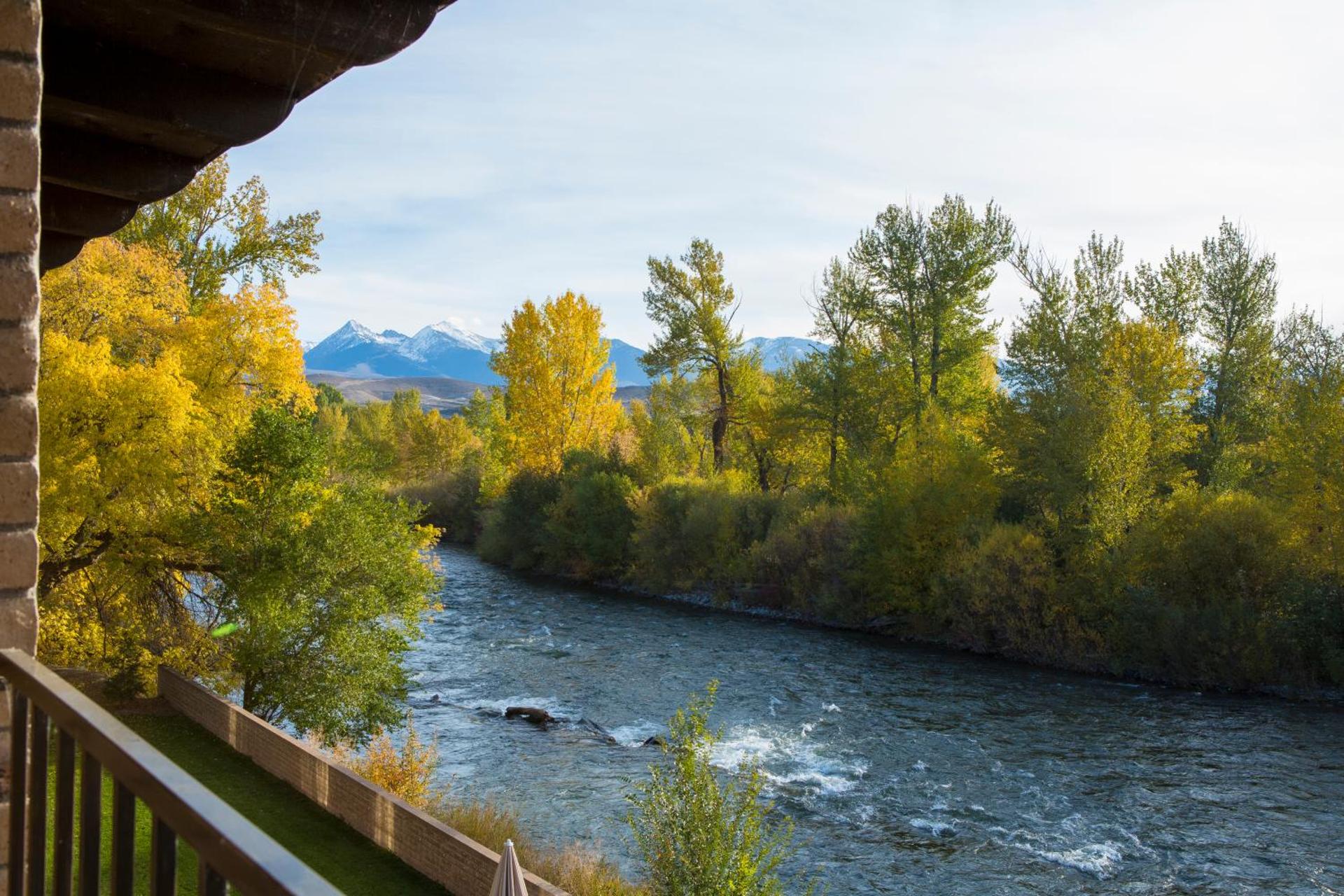 View (from property/room)