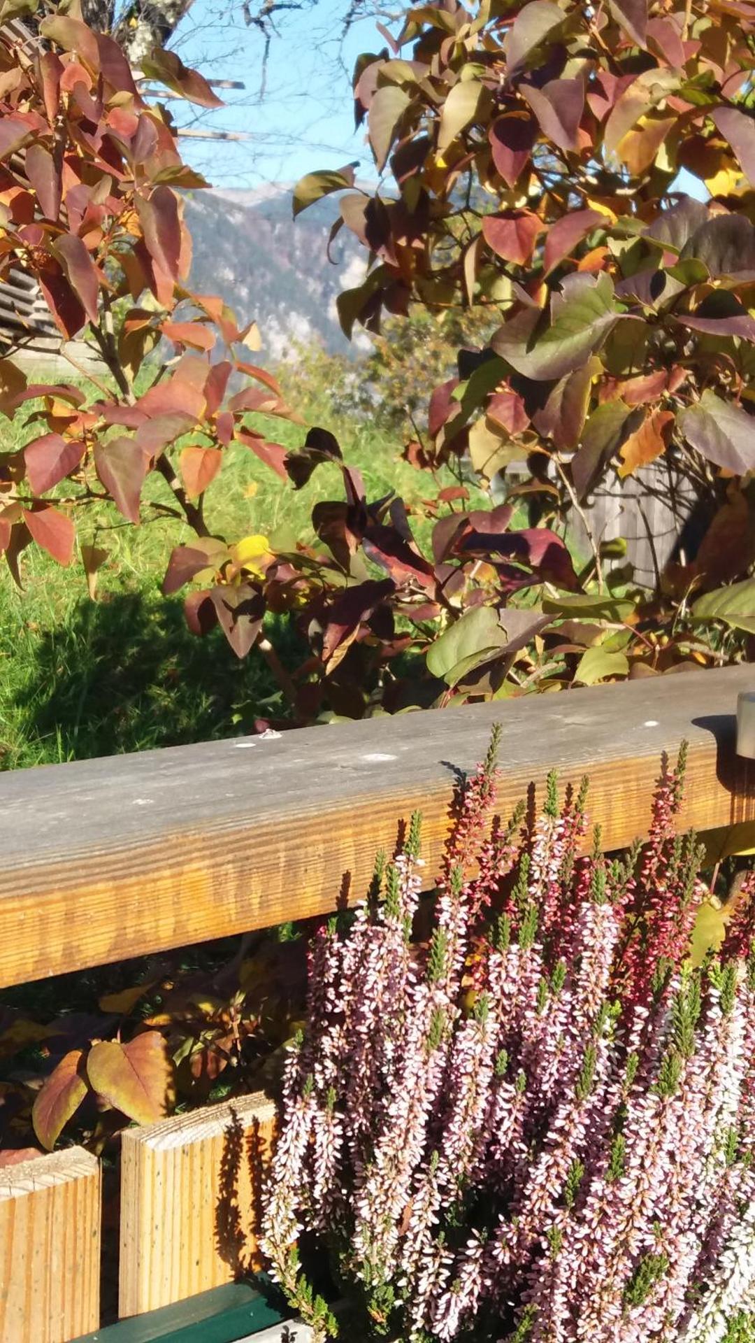 Ferienwohnung Holzer