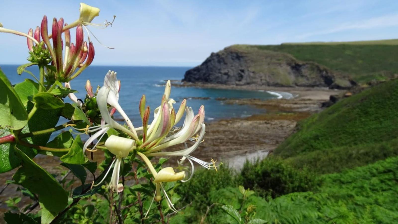 Chalet 18 Widemouth Bay Holiday Village