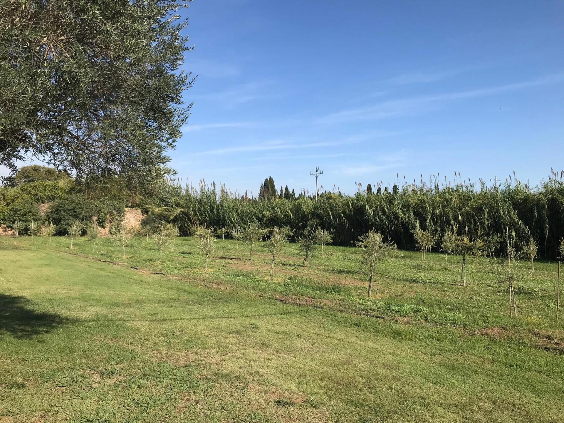 La Caseta del Mas Valls