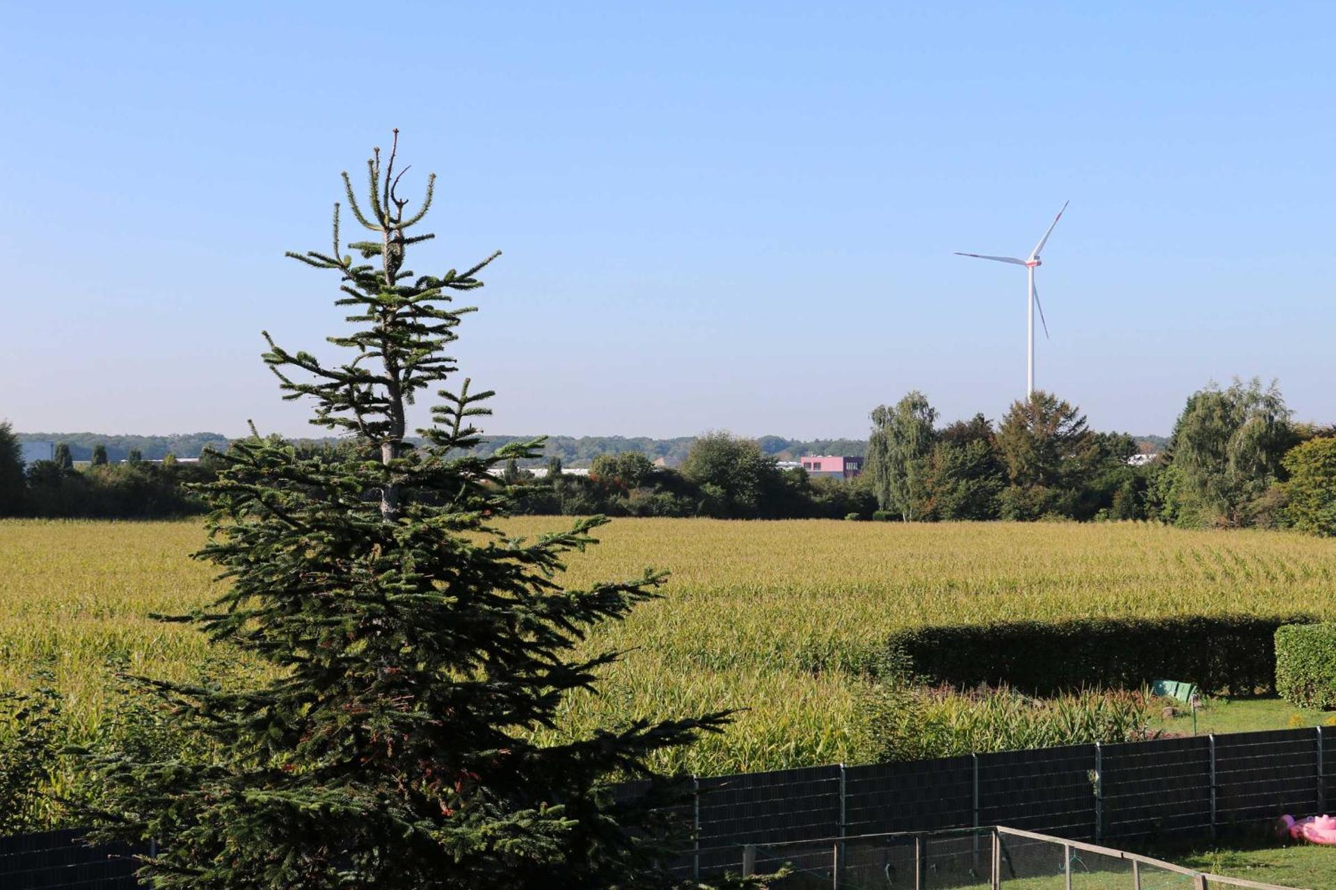 View (from property/room)