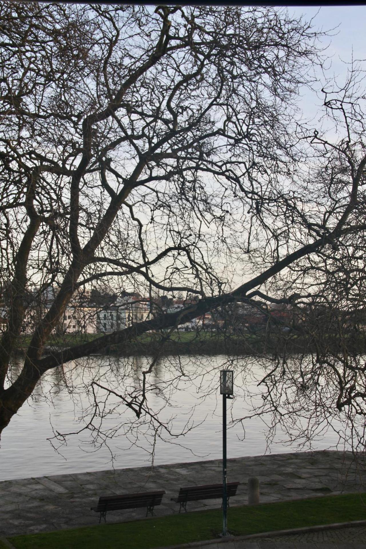 A Rendilheira Charm Suites