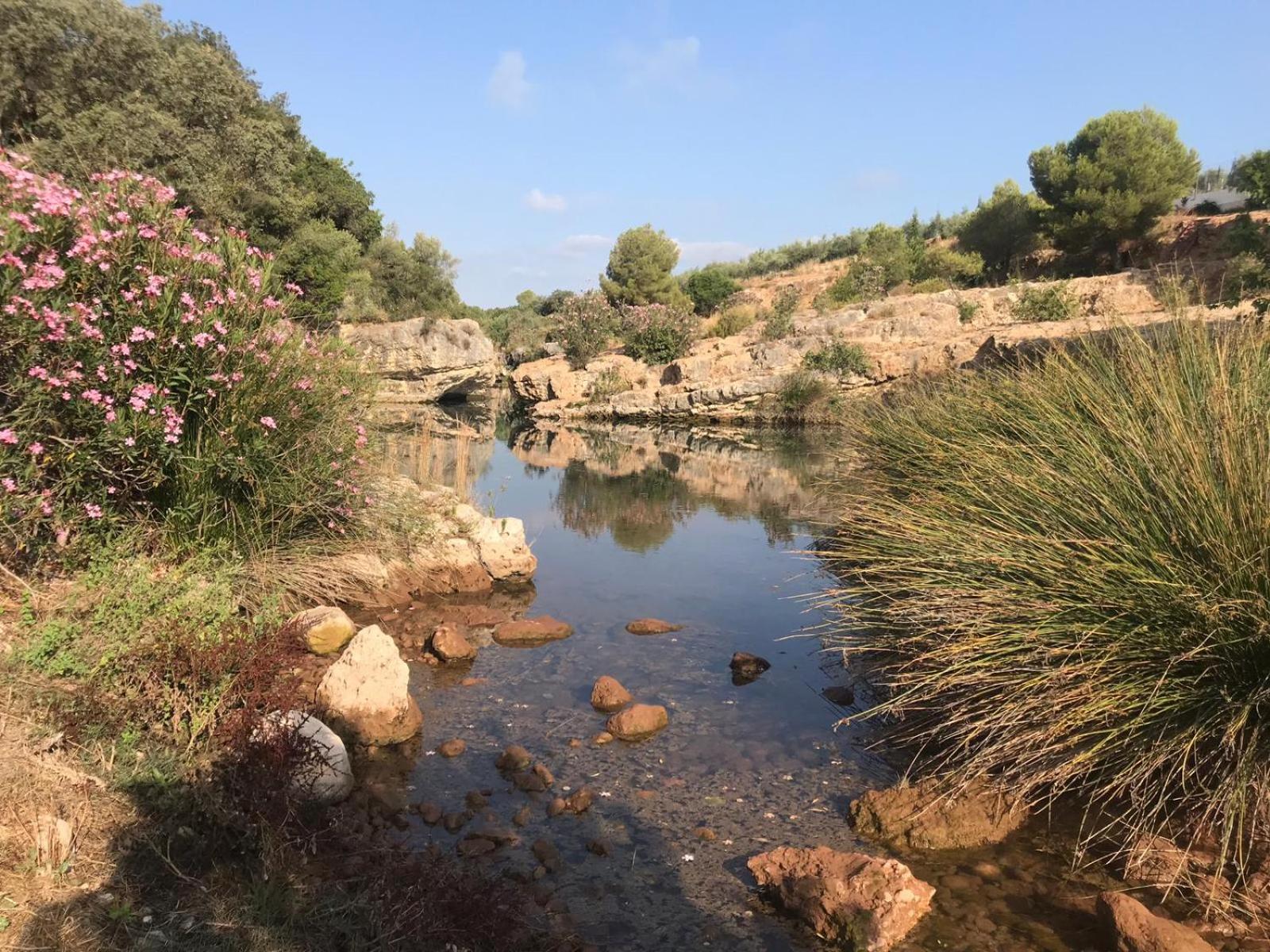 Apartamentos Rurales Fuente de Marzo