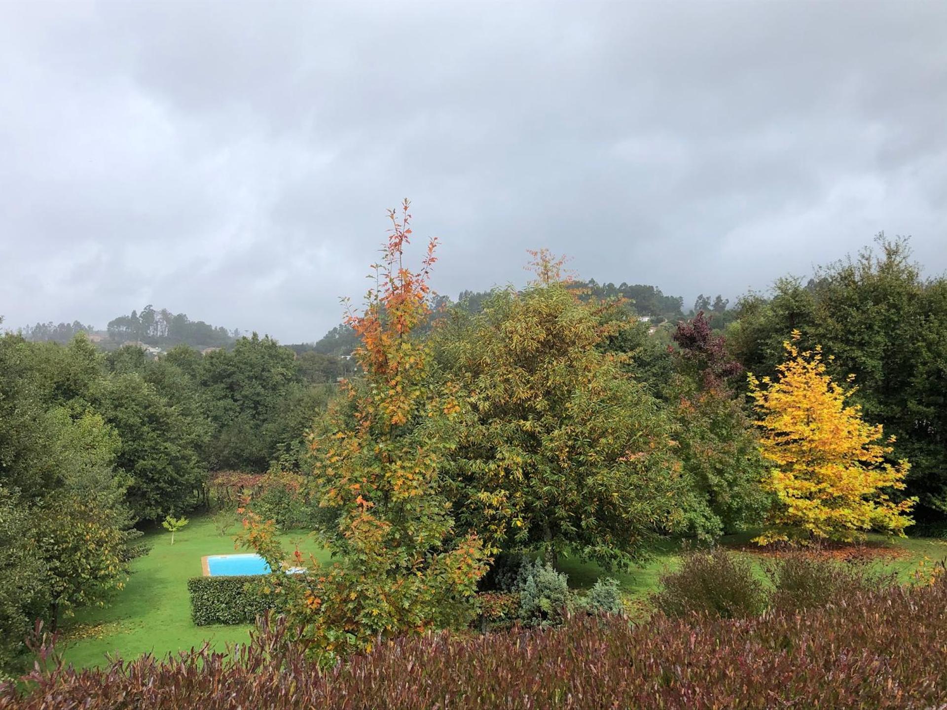 Quinta Lamosa Agroturismo