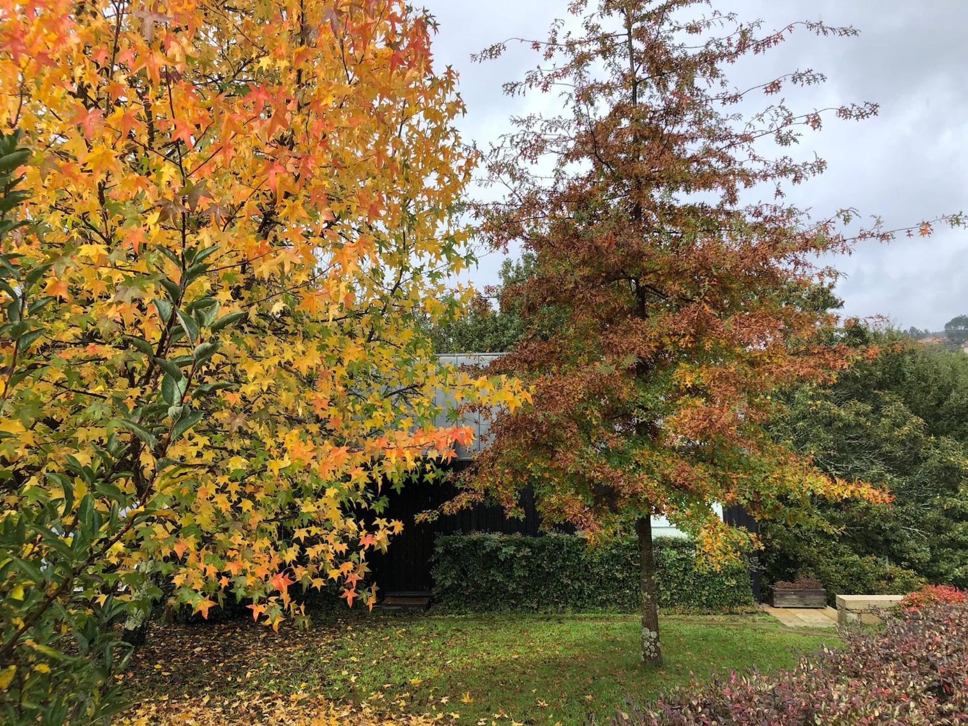 Quinta Lamosa Agroturismo