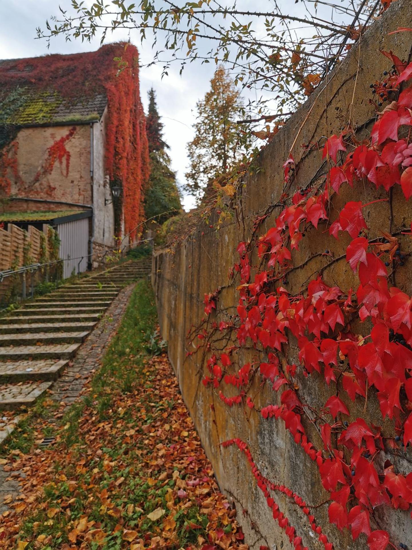 Gästezimmer Reitinger