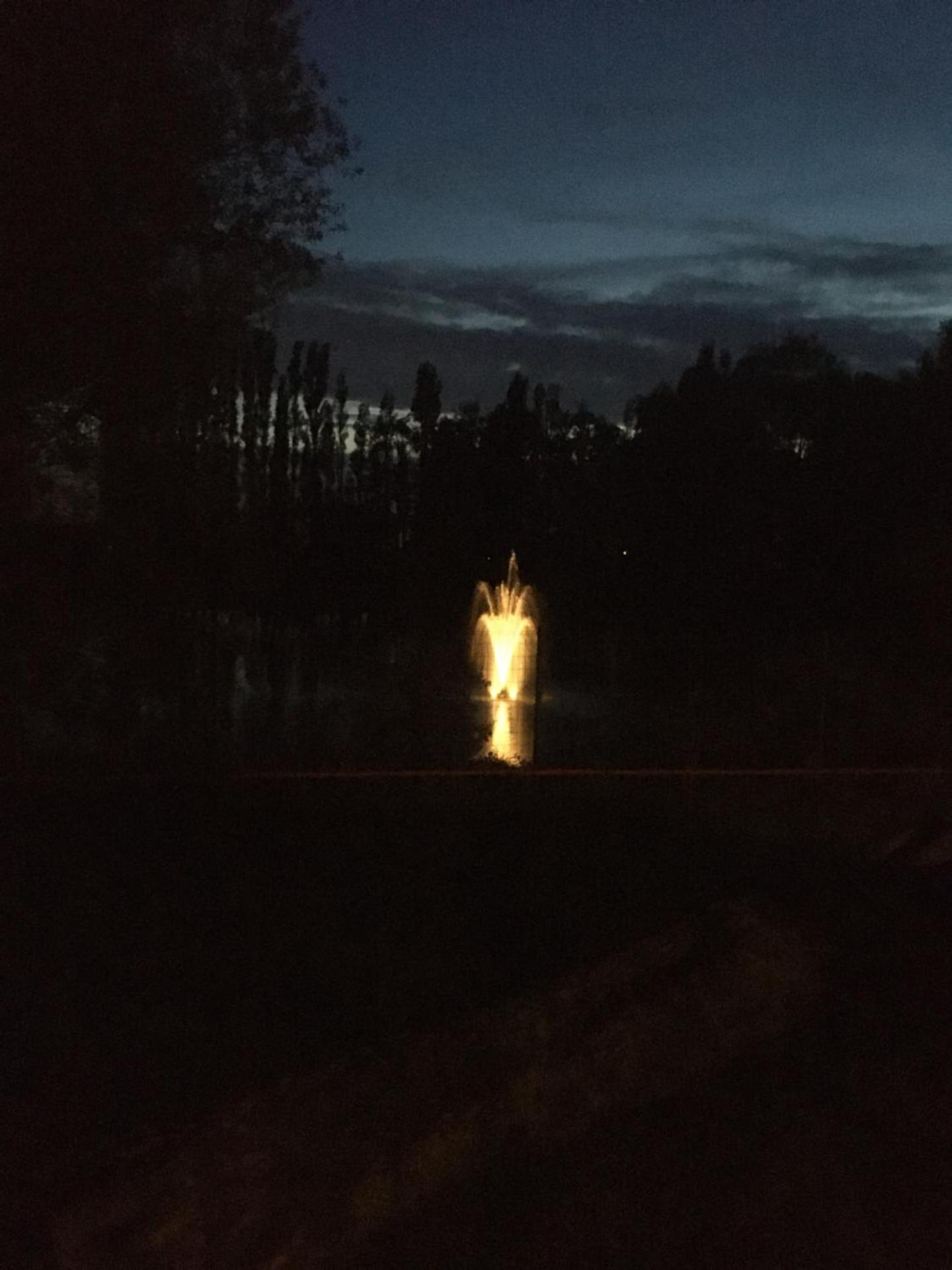 Rosy Garden in the winter