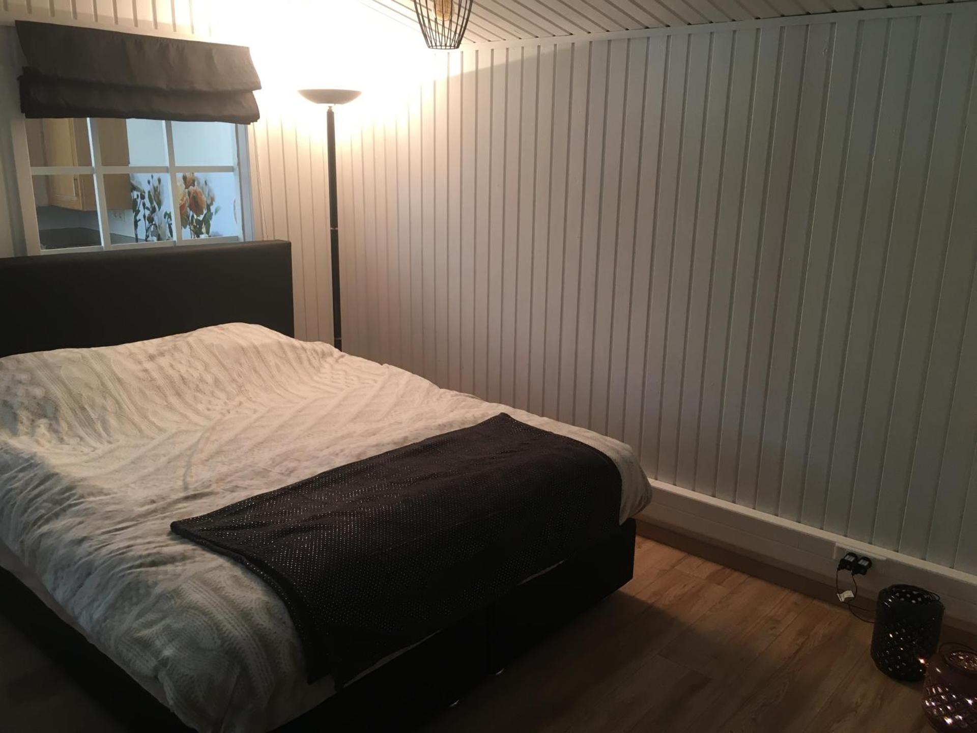 Rosy Garden in the winter