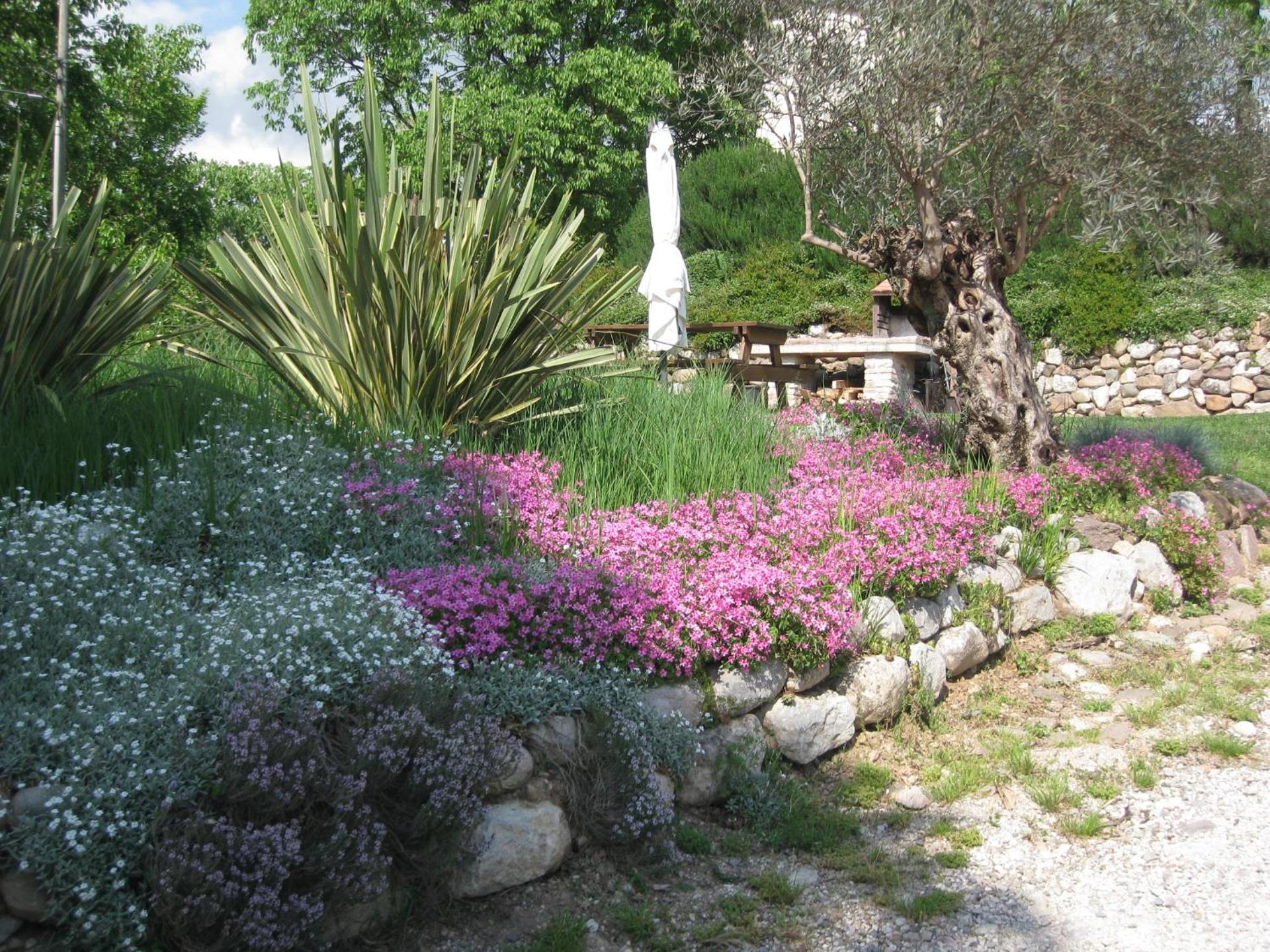 Agriturismo Campagnoletto