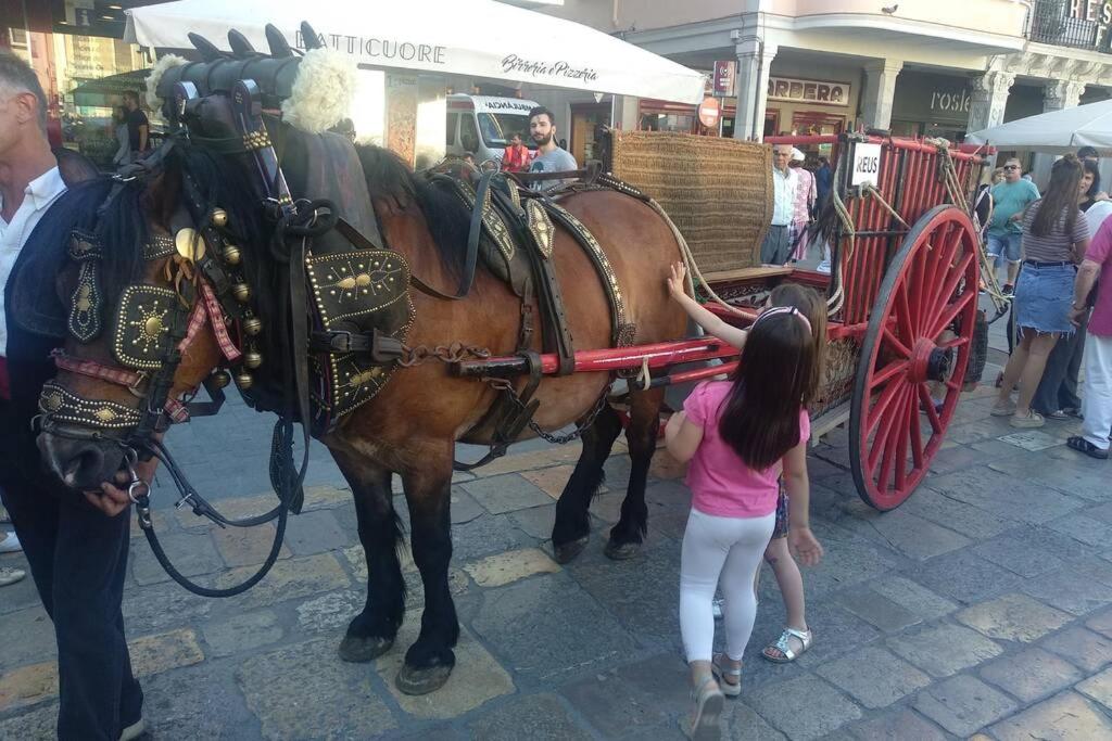 Estudio en el centro