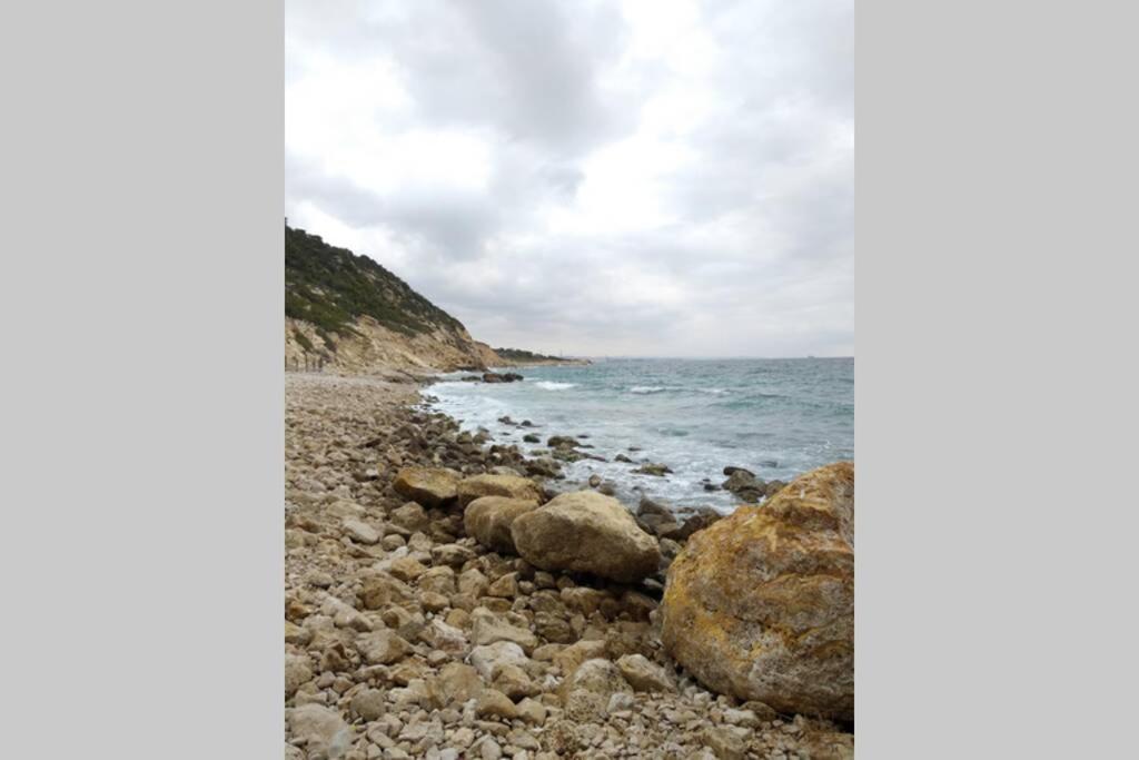 Estudio en el centro