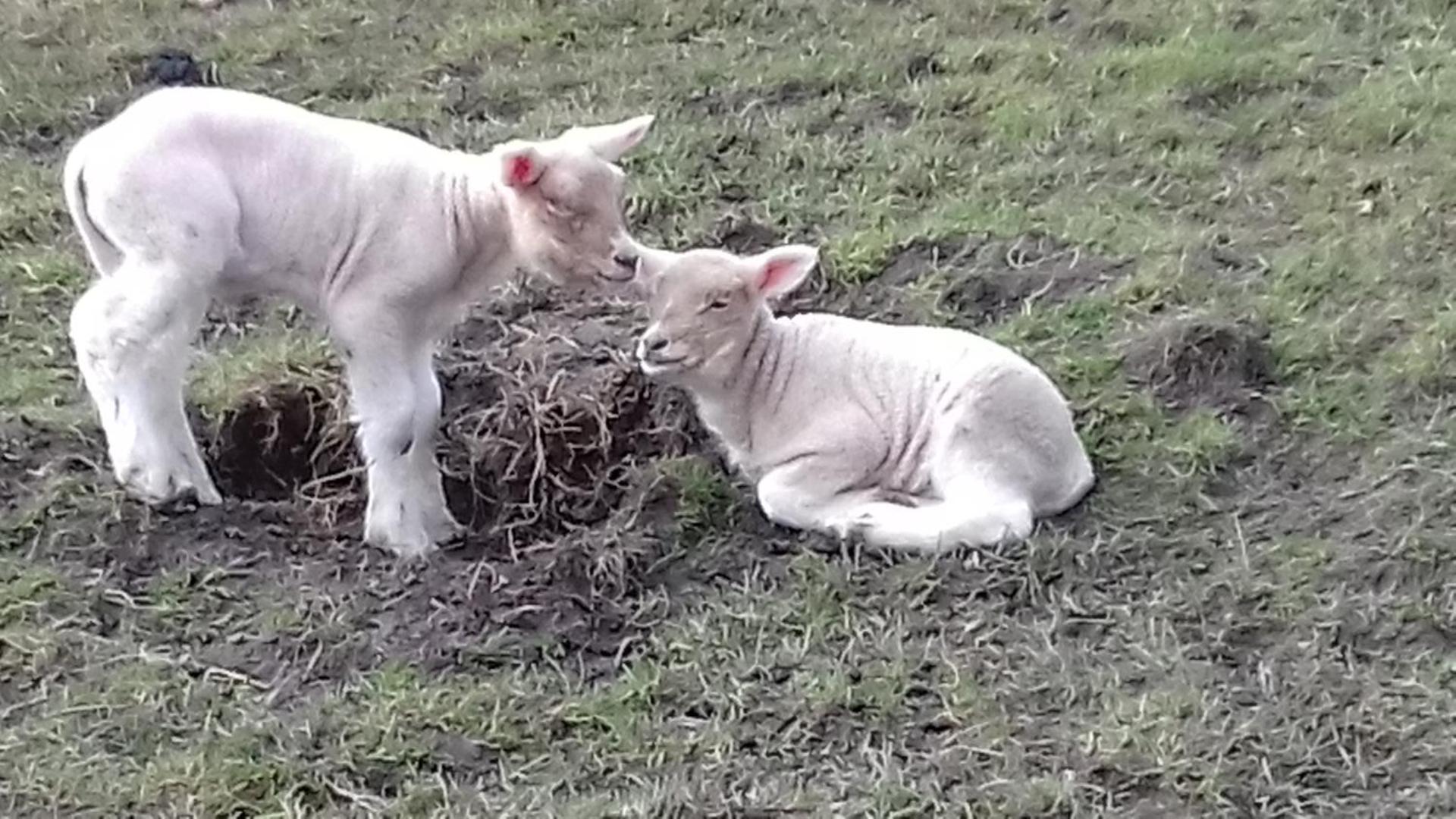 Studio Zonnehoek Schoorl