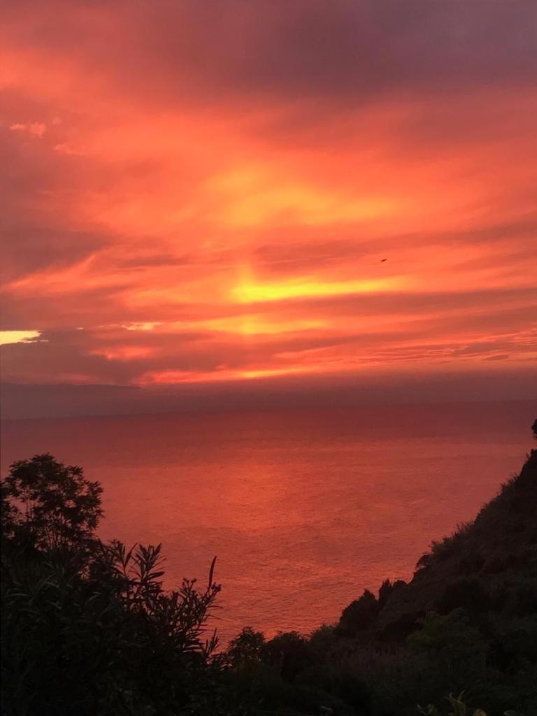 Affittacamere Le Terrazze