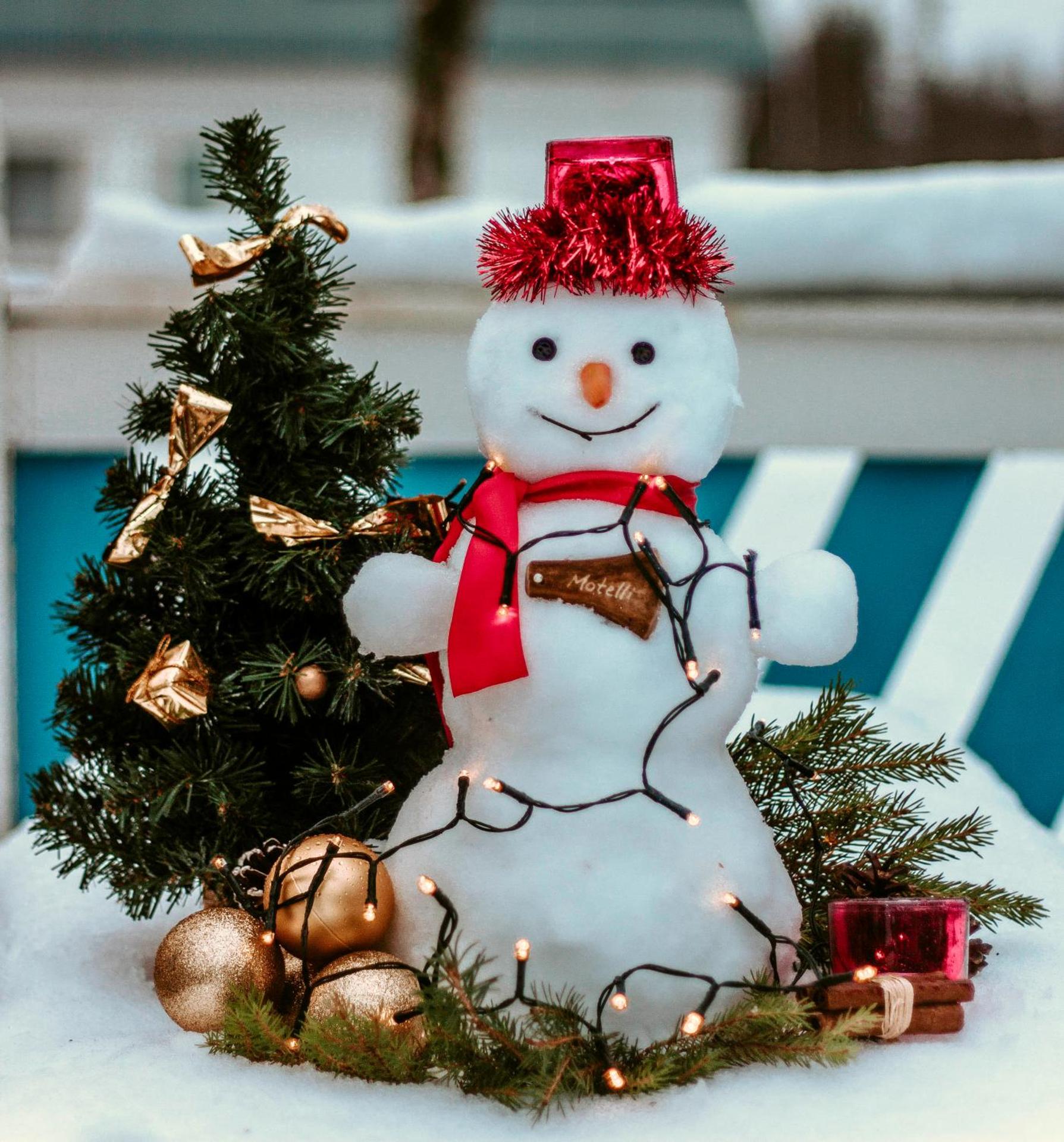 Logo/Certificate/Sign