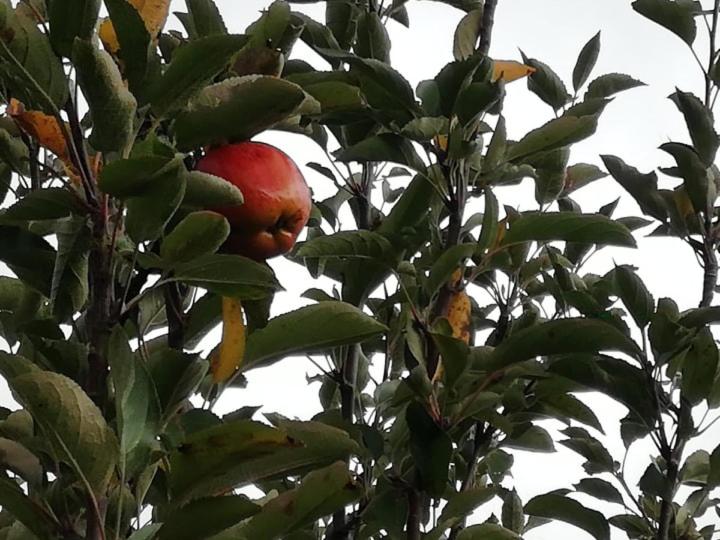 Vale do Rodo Residencial