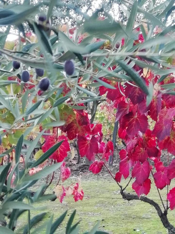 Vale do Rodo Residencial