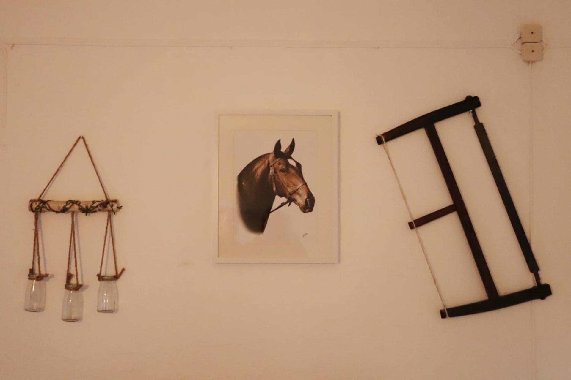 Monte das Cobras - Country House