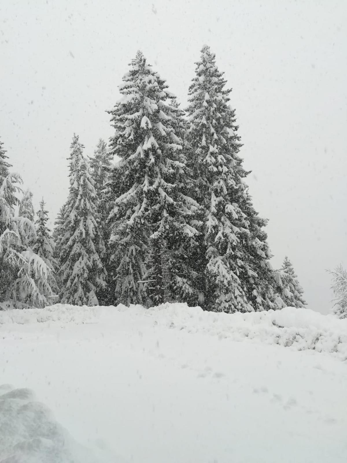 Noemi Marilleva vacanze