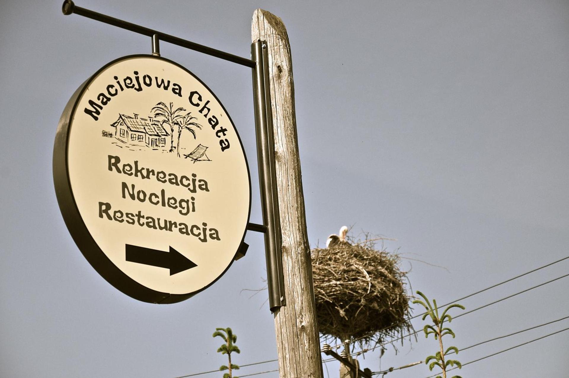 Logo/Certificate/Sign