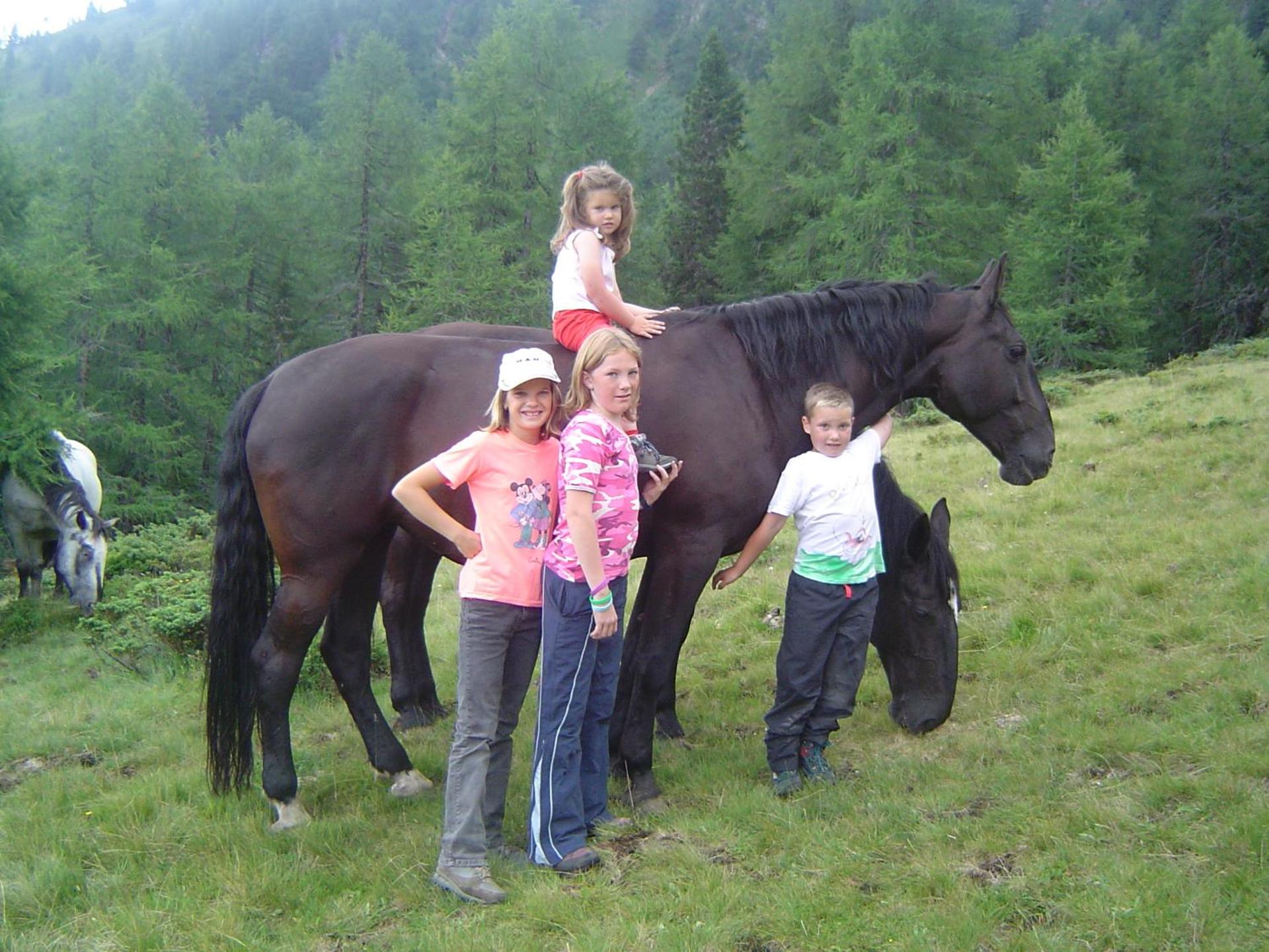 Horse-riding