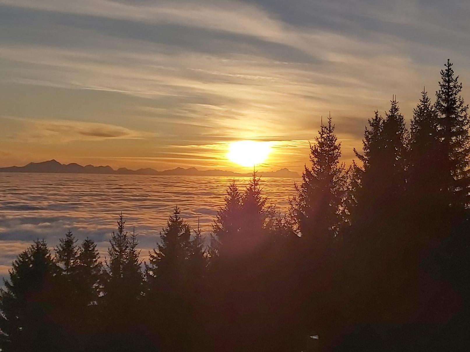 Korlape Apartman 4.2