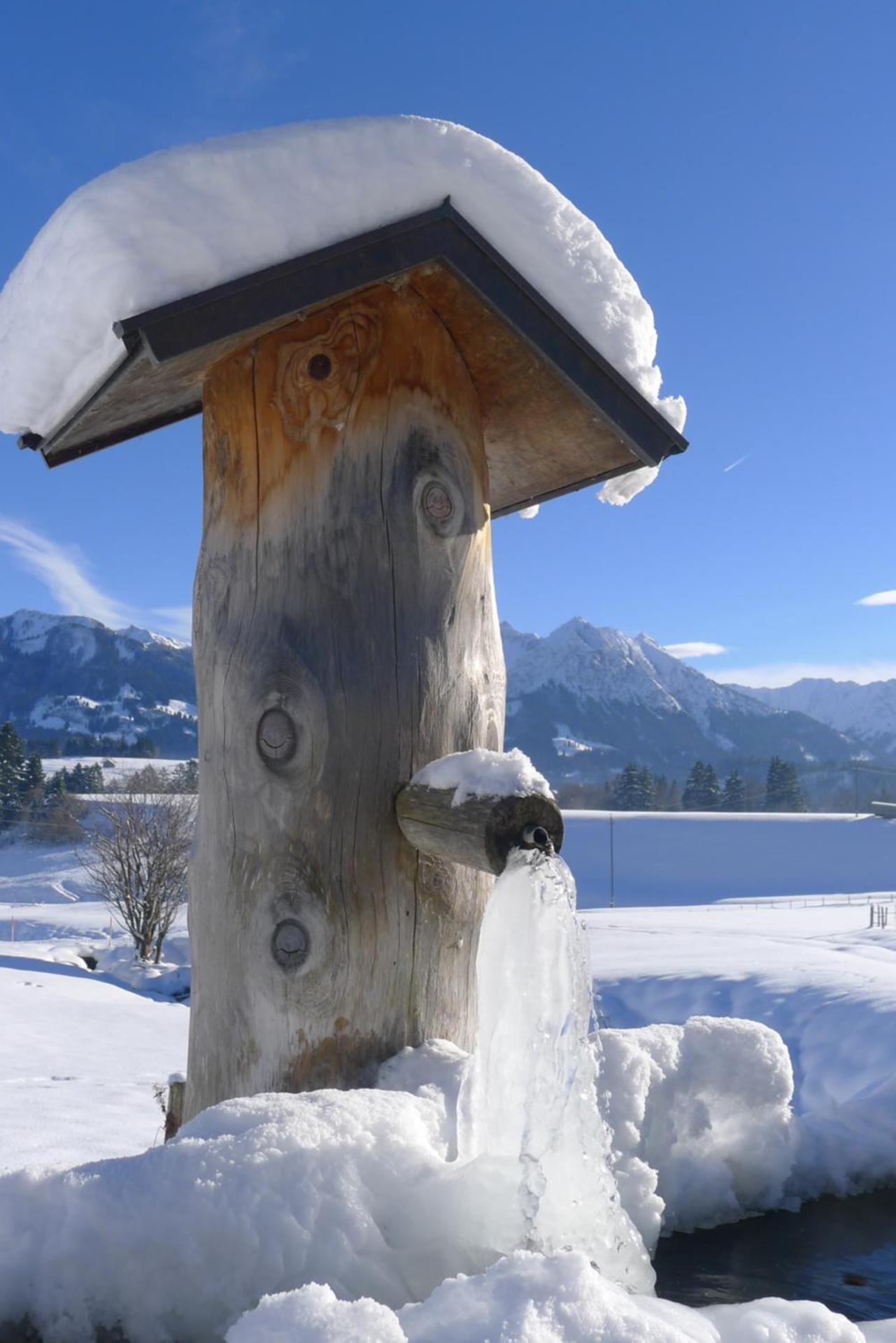 Bergbauernwirt im Landhaus Bolgental