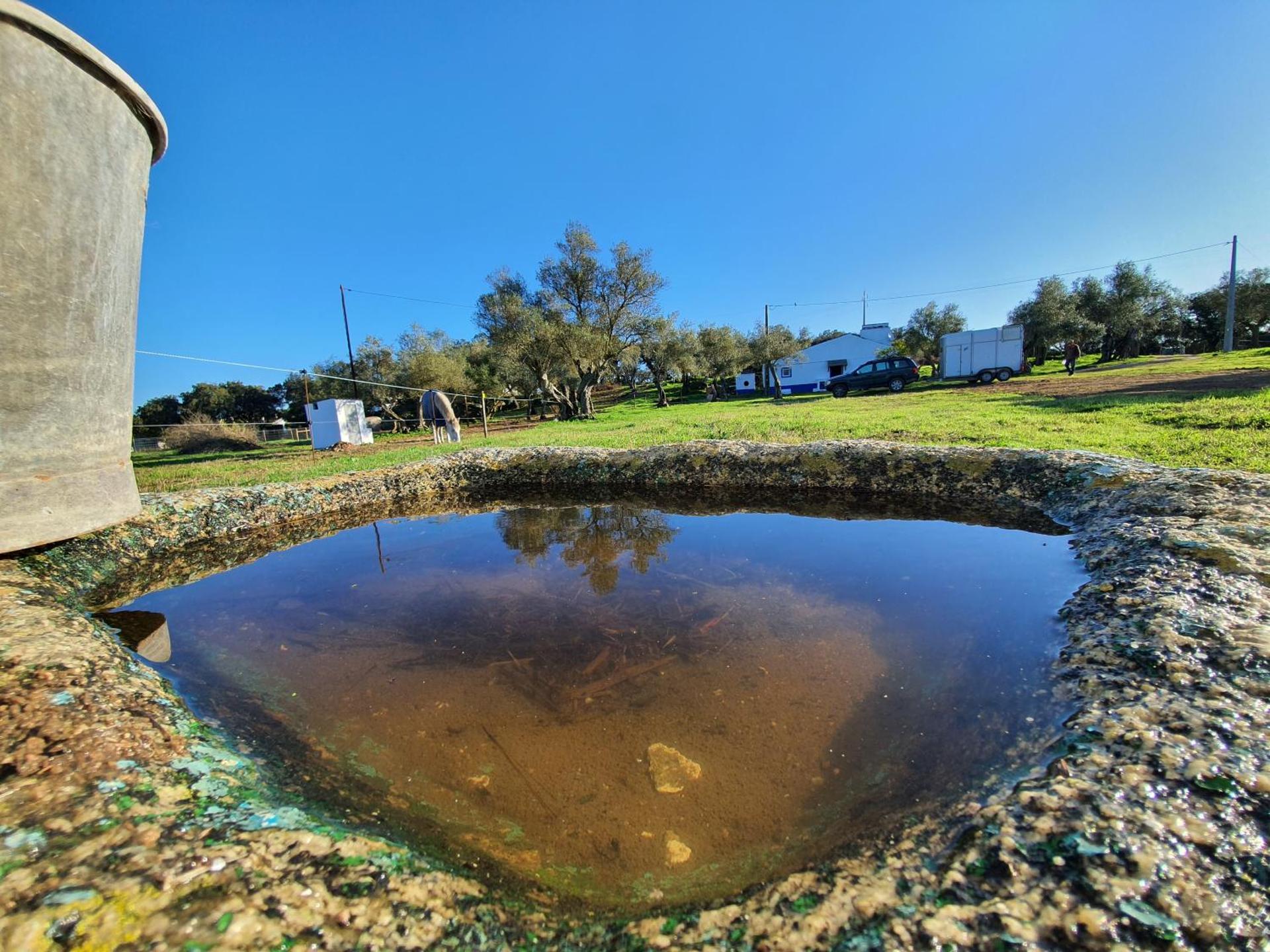 Monte das Cobras - Country House