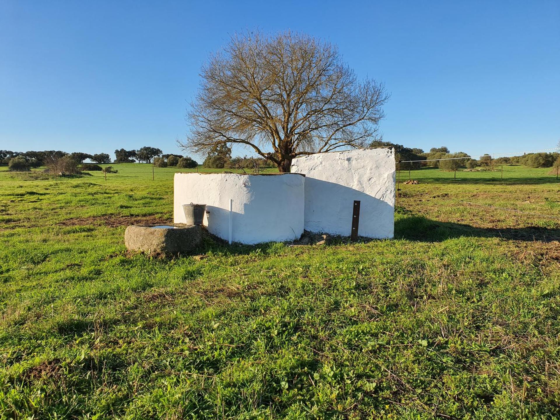 Monte das Cobras - Country House