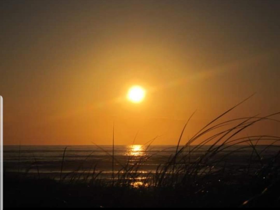 Surfers Getaway - Room Staycation