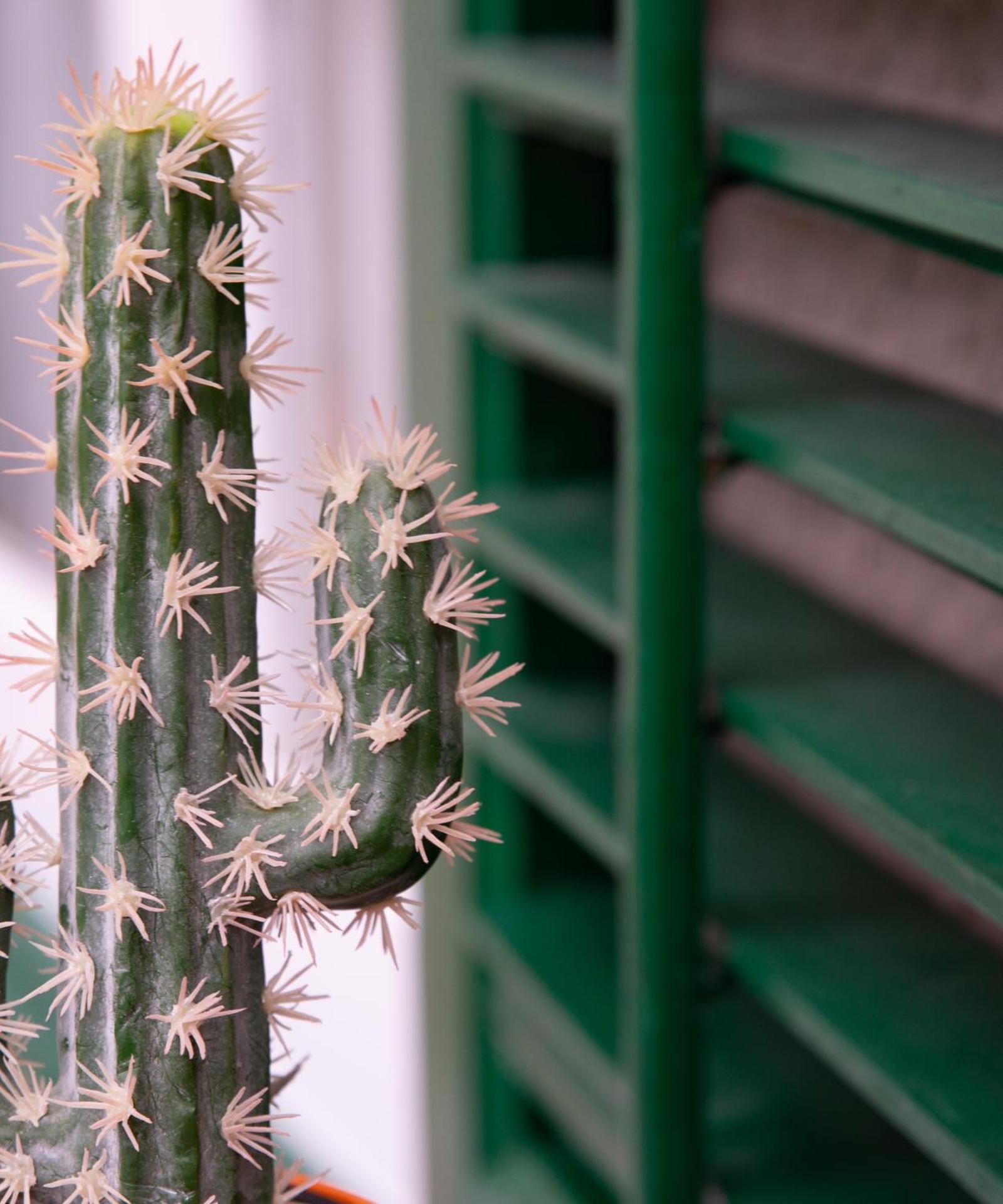 La maison à la cathedral