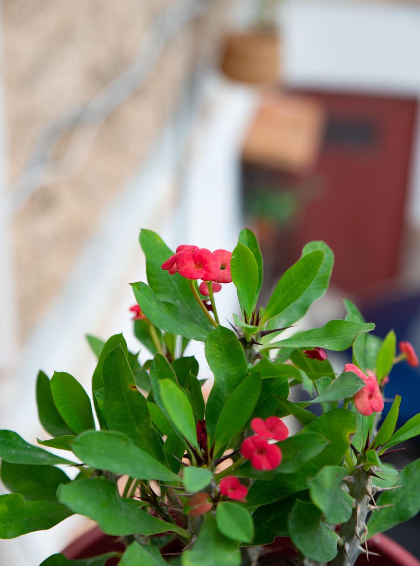 La maison à la cathedral