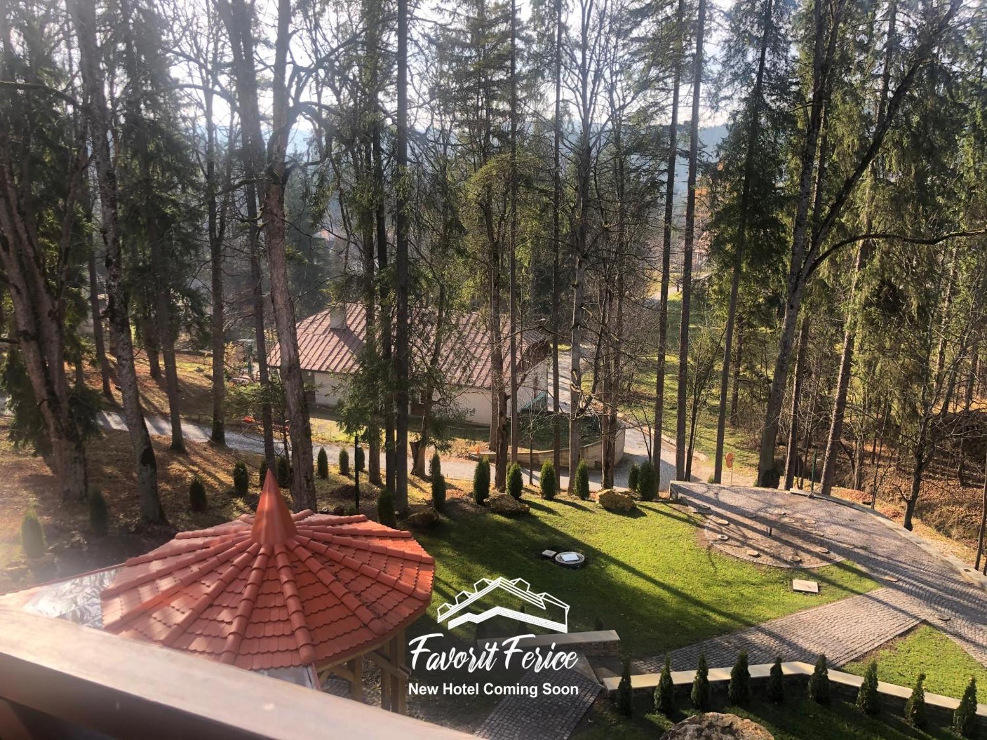 Pensiunea Favorit Ferice