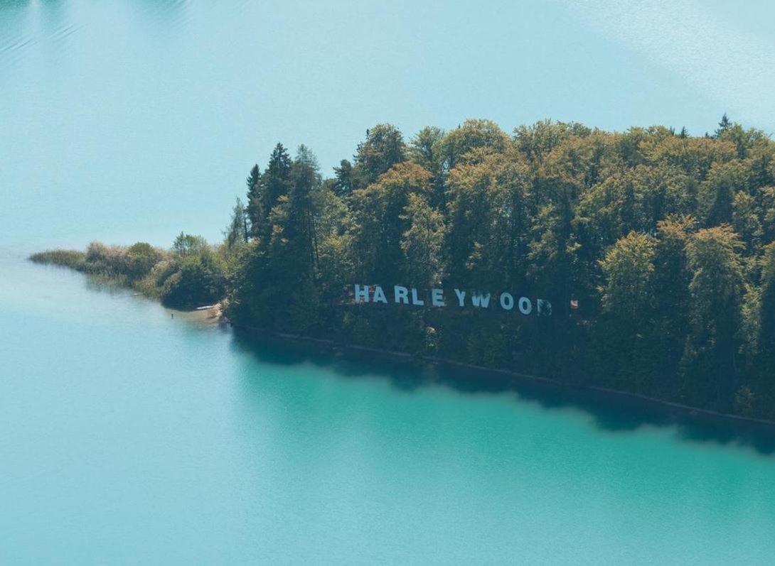 Alpe-Adria Apartment Chanel (Top 6 mit Garten)