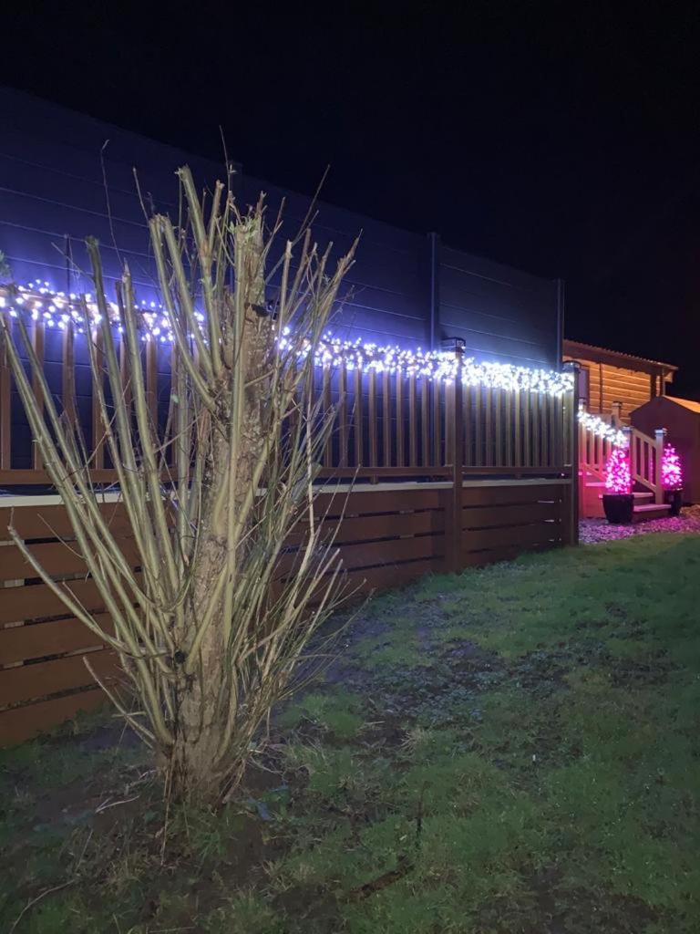 Logi-Bear Lodge with Hot Tub