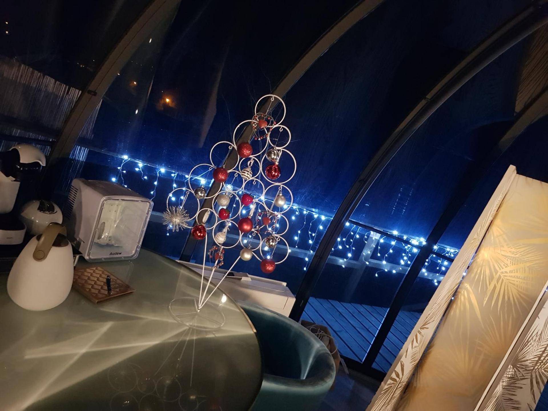 La bulle au bois dormant d'ovifat