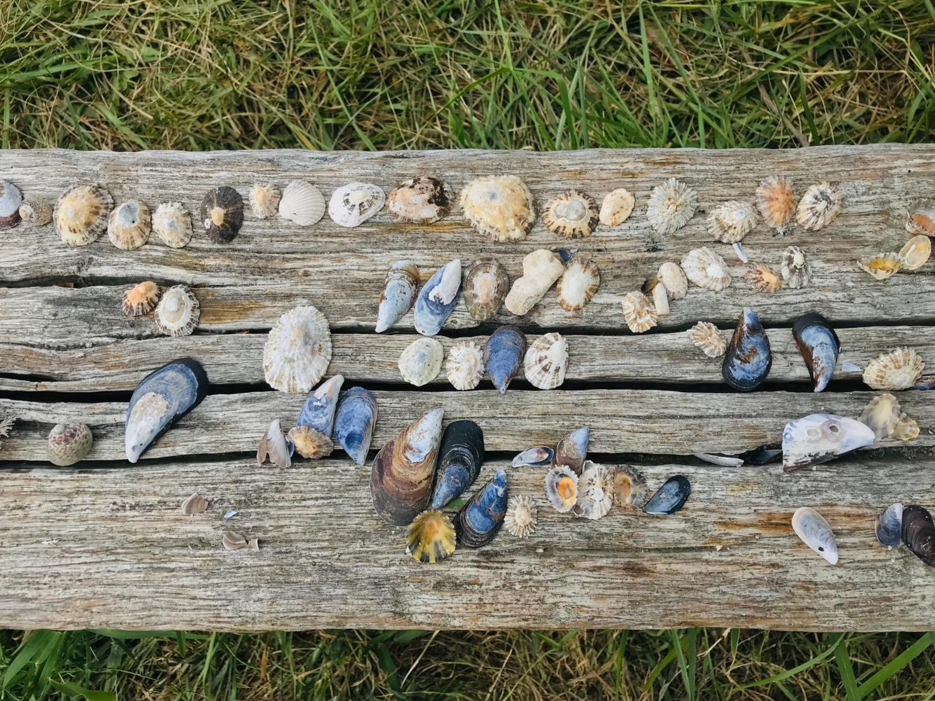 Ático nuevo en playa de Laxe