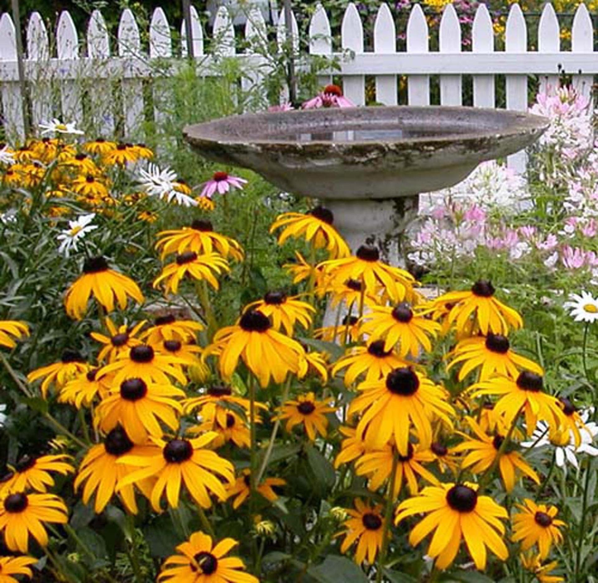 The Morrison House Bed and Breakfast