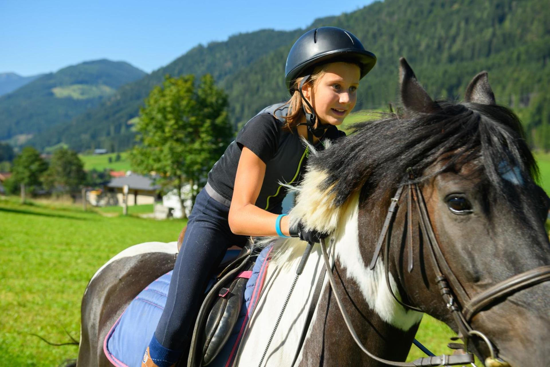 Wohlfühlresort und Feriengut Martinerhof