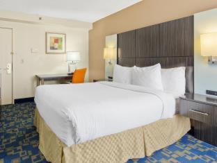 Quadruple Room - Non Smoking