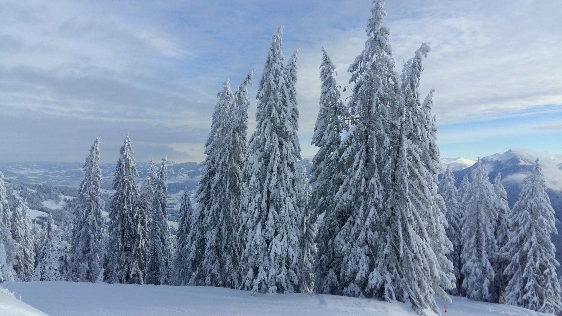Ferienhaus Berghalde