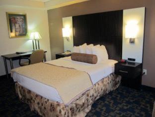 Quadruple Room with Two Queen Beds - Non Smoking