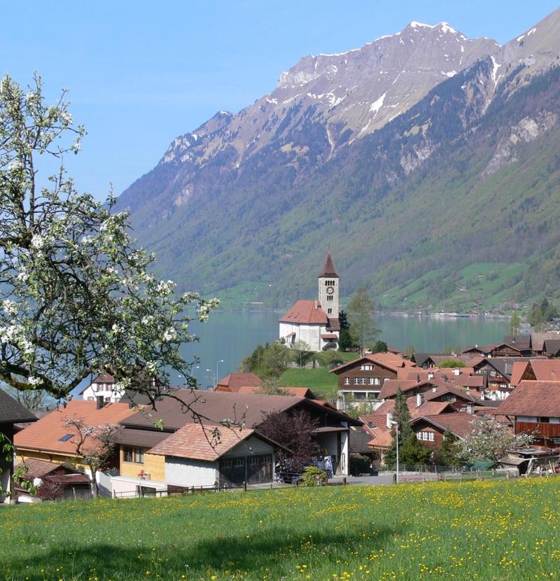 Bellerive - Partial lake view