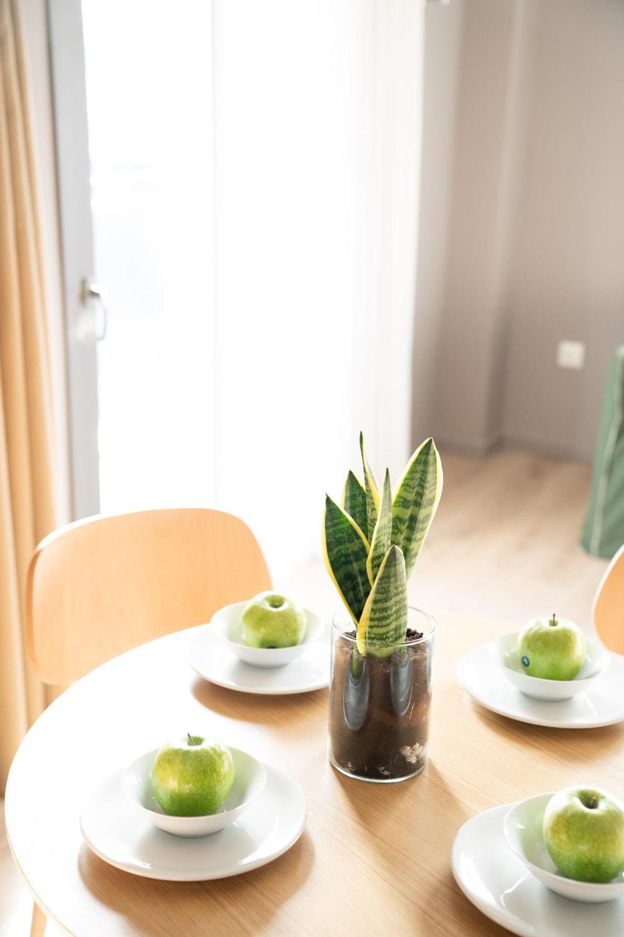 CHROMA FASHION ROOMS & APARTMENTS