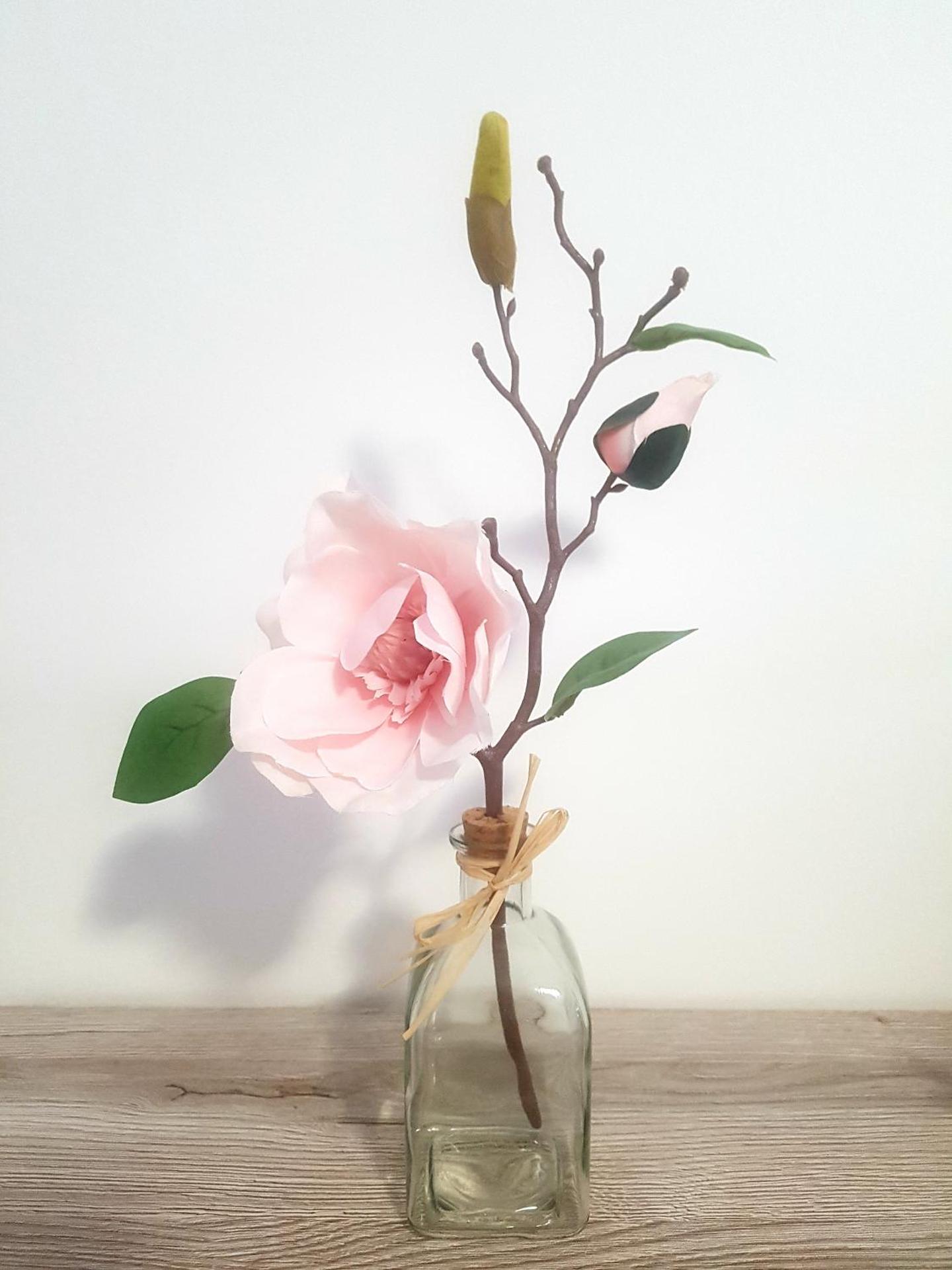 Single Bed in 3-Bed Female Dormitory Room