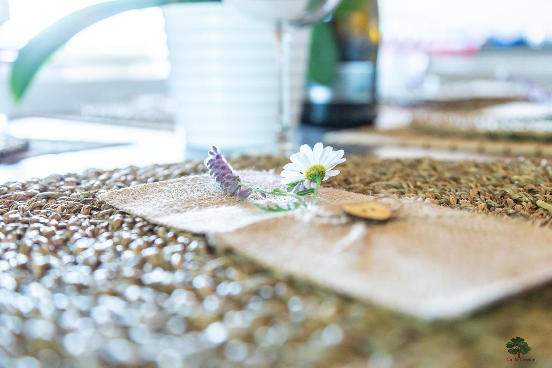 Ca' le cerque, villa surrounded by the Marche nature