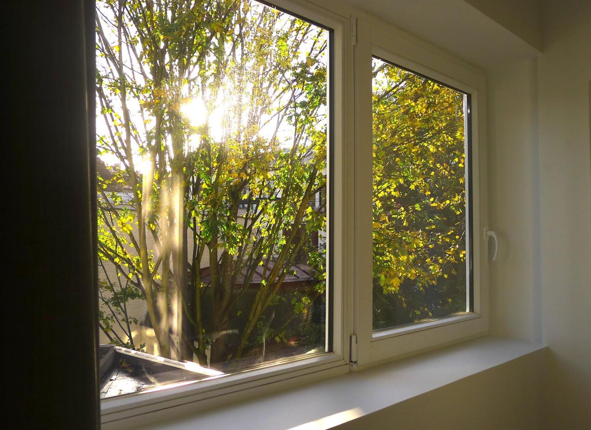 View (from property/room)