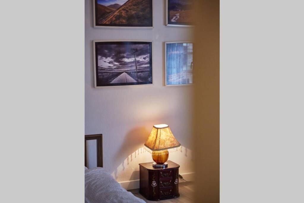 Art Luxury Designer Apartment